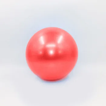 Frosted Pilates Exercise Ball 2