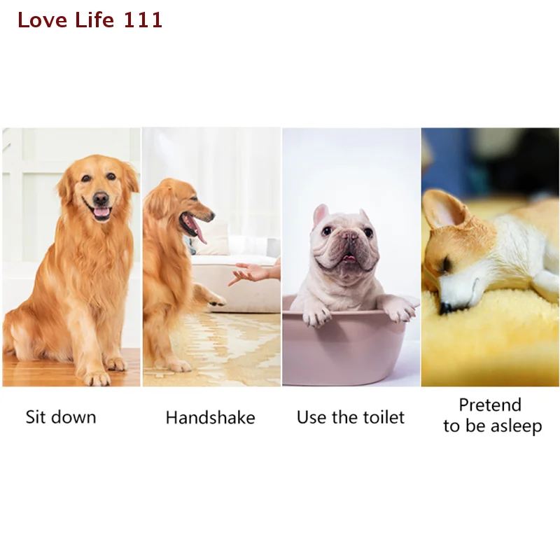 New Interactive Sound Clicker Trainer For Thumb Training No Battery For Dogs Cats Positive Reinforcement Train