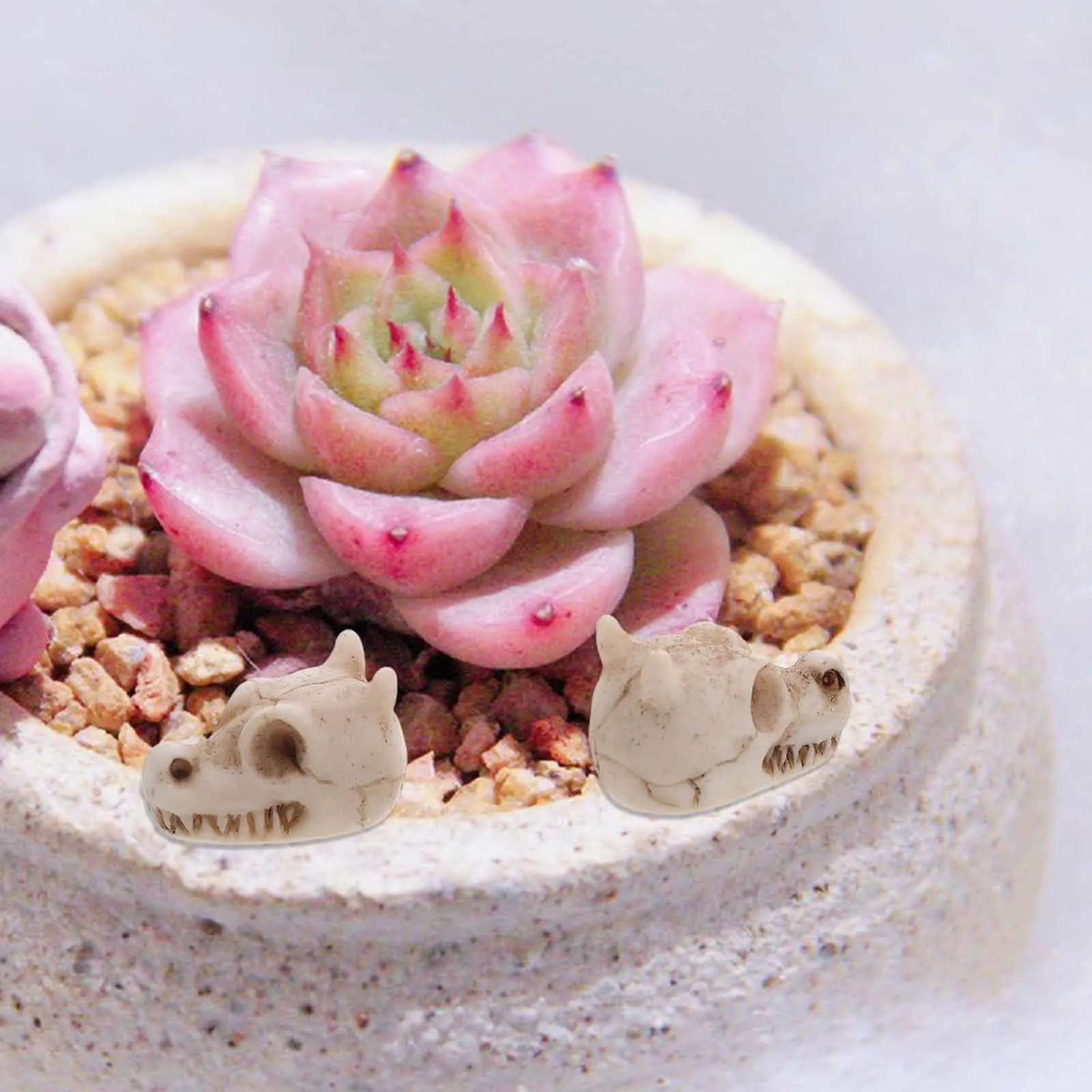 

20pcs Mini Skulls Outdoor Skull Statue Resin Dragon Sculptures Garden Decor Fish Tank Accessories Lawn Ornaments Waterproof