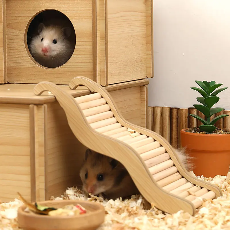 #37 Trending Hamster Cages Right Now