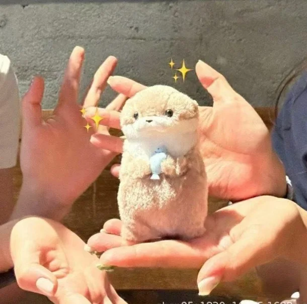 Cute Sea Otter Holding Fish Plush Doll Keychain Bag Pendant Lee Chan Same Style Creative Ornament Birthday Gift For Girls