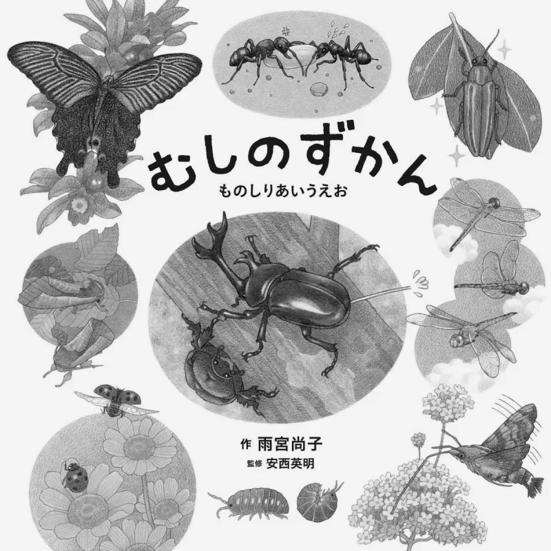 العلاقة بين الموتى والموتى ناوكو أاماميا هاكوسينشا 9784592763048 كتاب