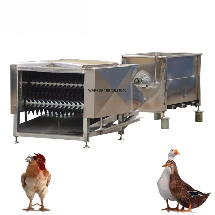 Small Chicken Slaughterhouse Machine 100-300 Bph Chicken Slaughter Machine Chicken Slaughter Equipment