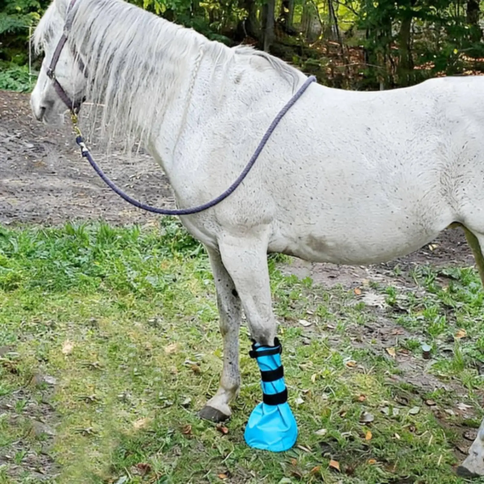 Equine Treatment Soak Comfortable Hoof Therapy Pad Waterproof Oxford Boot for Horse Hoof Soak and Cleaning