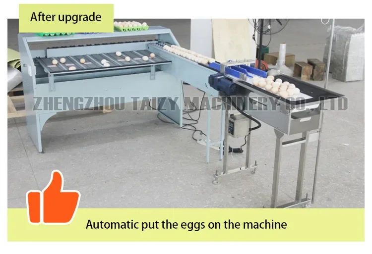 Multifunctional Automatic Egg Grading Packing Machine New for Chicken Egg Sorting Machine