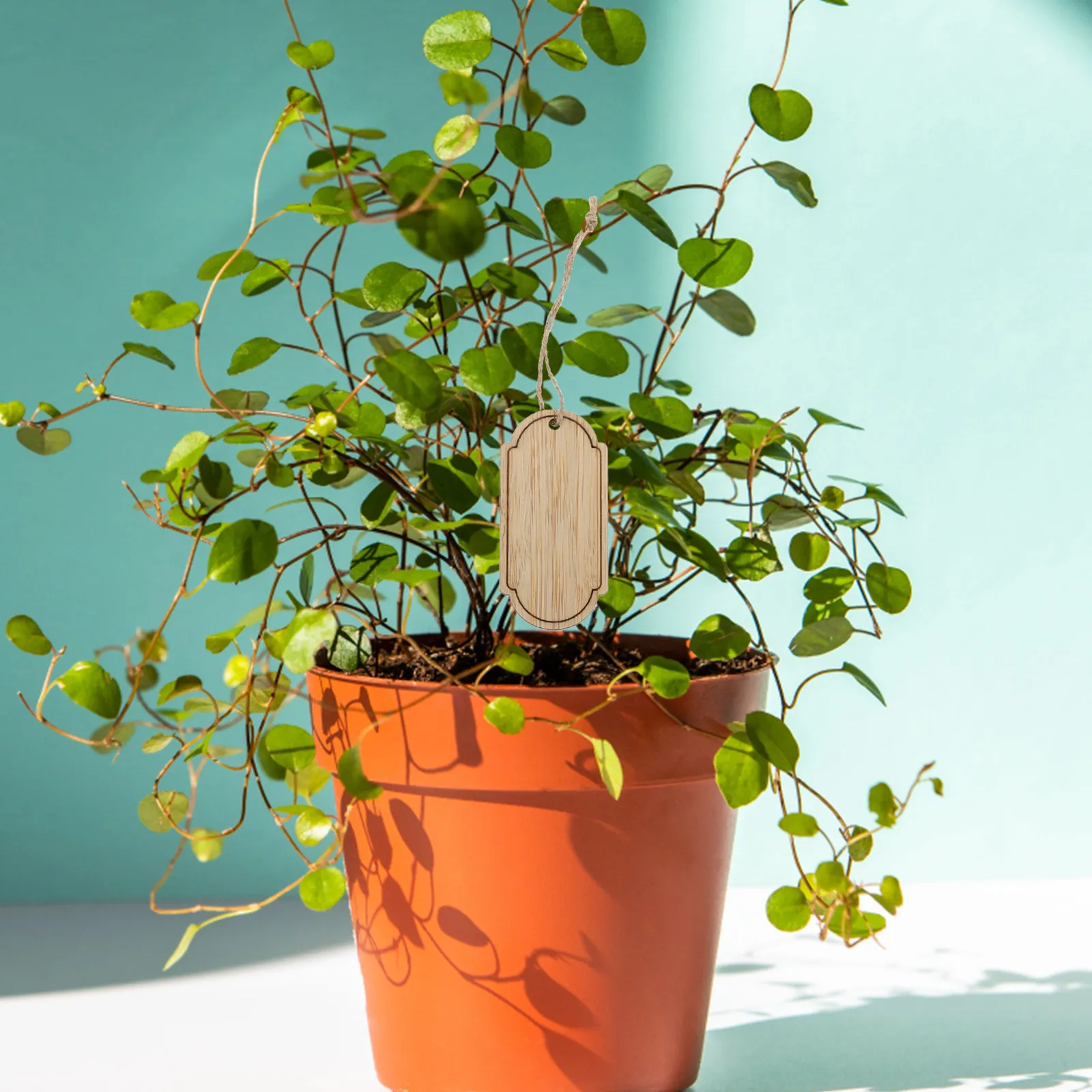 10Pcs Bamboo Garden Labels Eco Friendly Reusable Plant Identification Tags Minimalist Hanging Signs for Flowers Vegetables Herbs