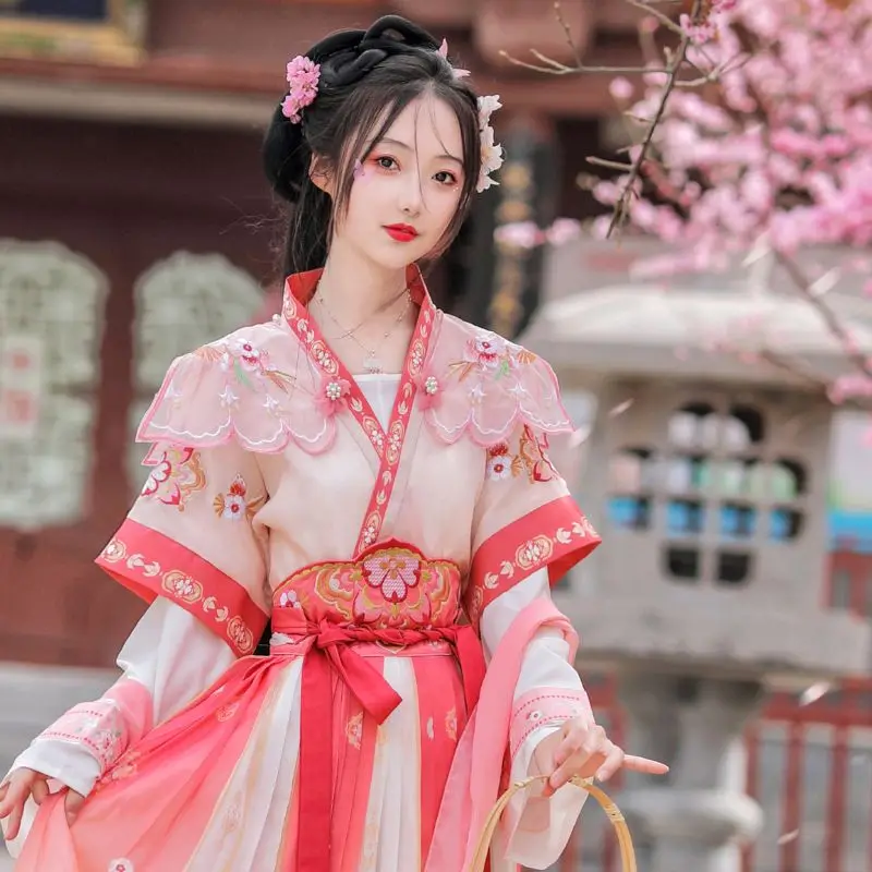 Hanfu Tang Dynasty Vintage Dress Women Cosplay Chinese Hanfu Fairy Dress Chinese Sets Ancient Elegant Princess Stage Dance Dress