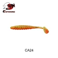 CA24