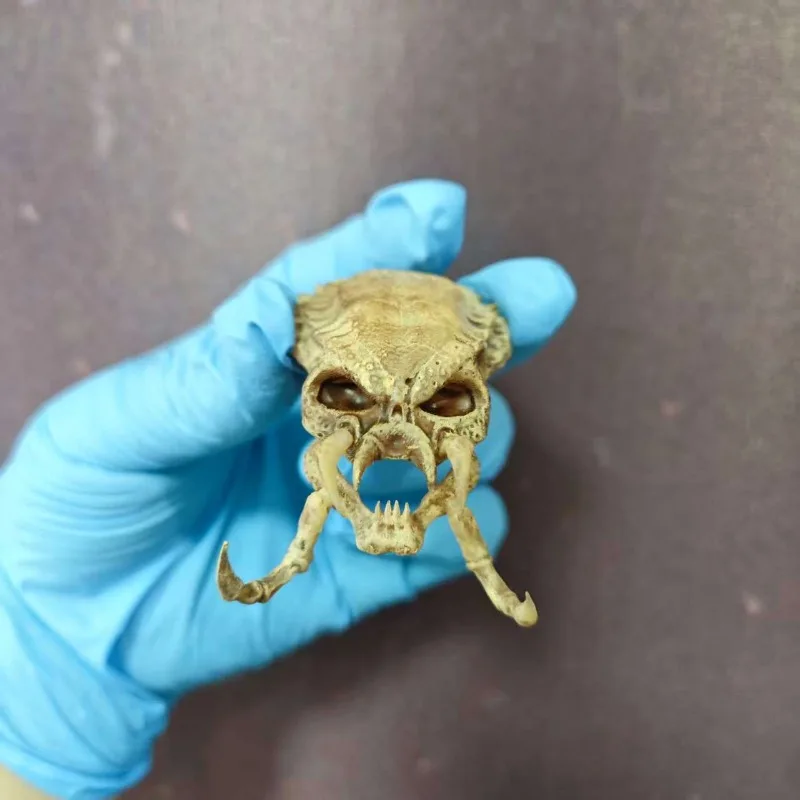 

Масштаб 1/6, железный кровавый череп, призы, аксессуары, украшение в виде черепа шейного отдела позвоночника, 1/12, сцена солдата для дома, NECA