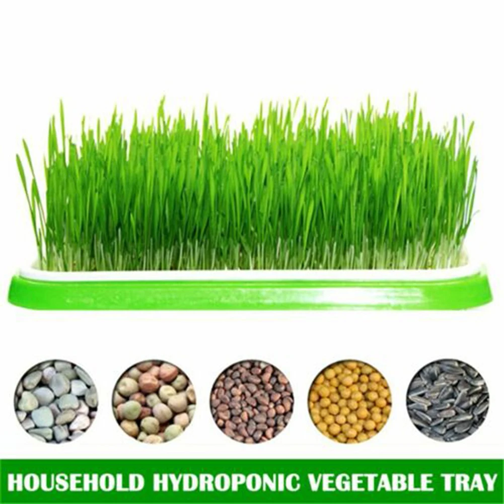 1Set Vegetables Beans Grow Basket Hydroponics Tray Double Layer Sprout Microgreens Plate Germination Nursery Pots Tools