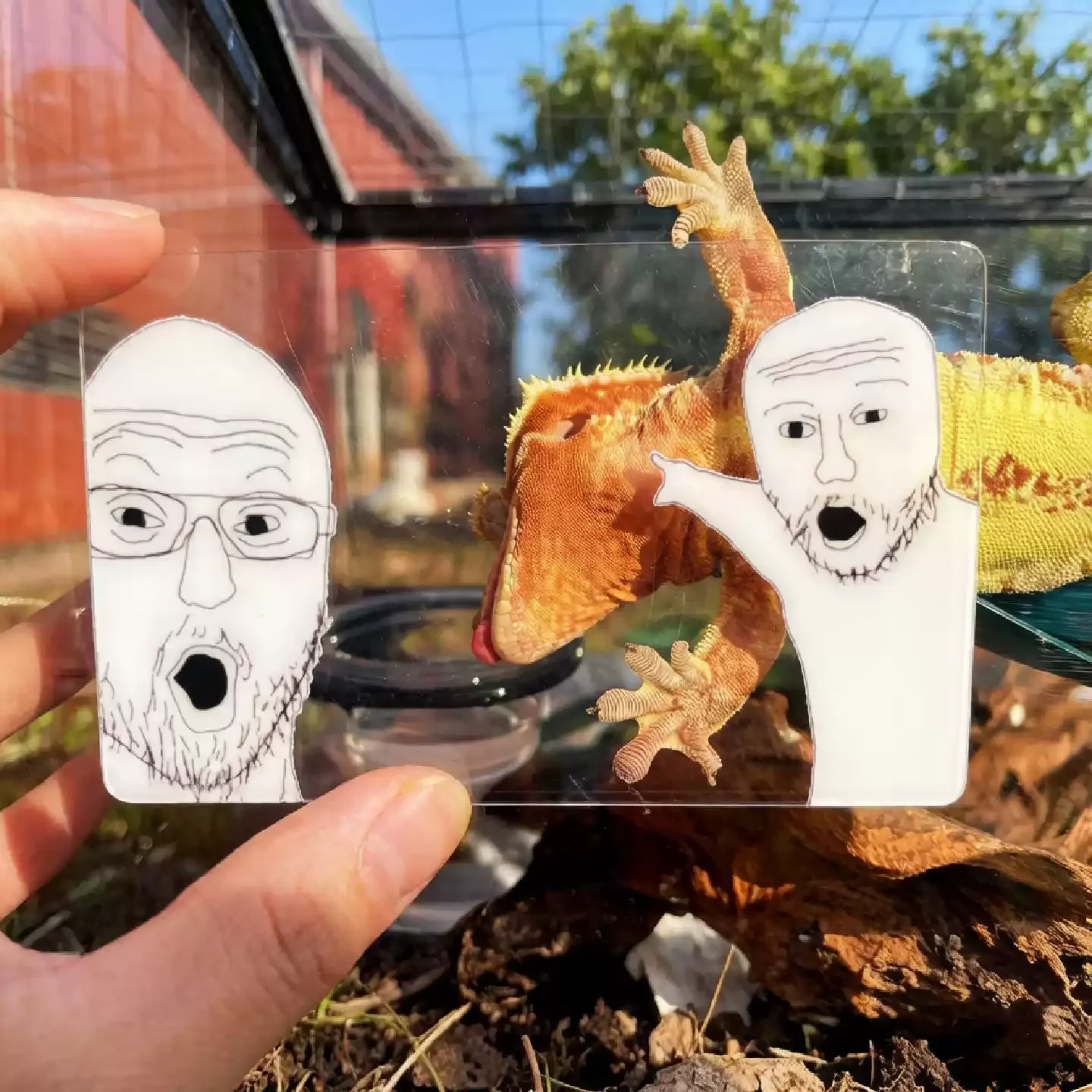 Cartoon Meme Acrylic Transparent Card, 10cm DIY Photo Booth Prop, Unique Funny Bookmark Gift gift for a friend keychain