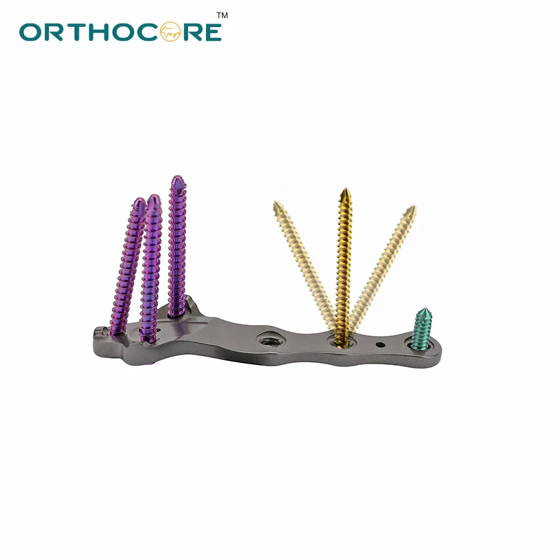 

T P L O Plate AO veterinary orthopedic instruments pet animal surgical k y o n cortex screws