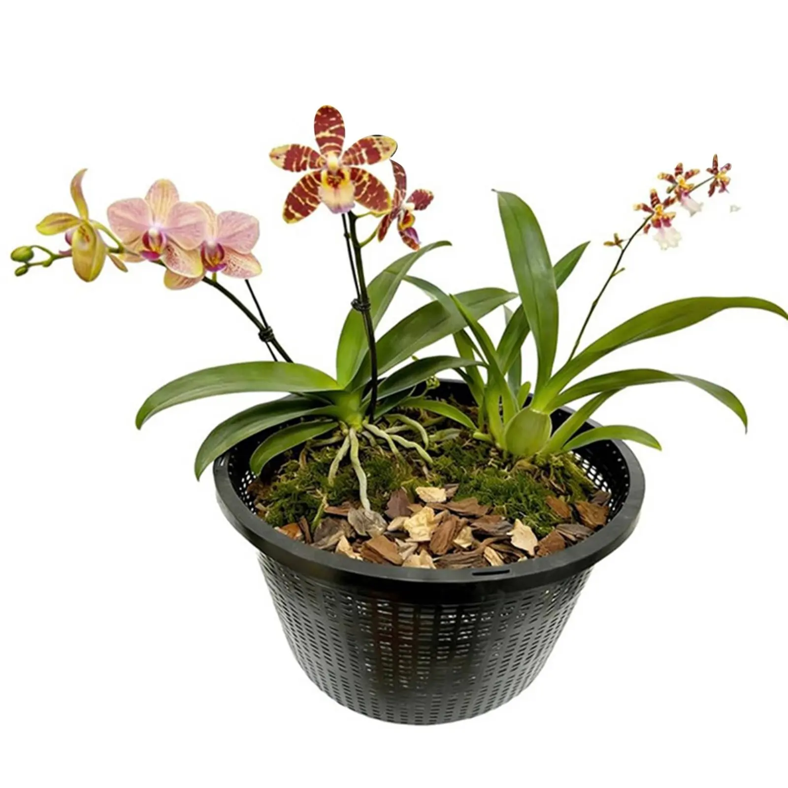 8.5 Inch Aquatic Plant Basket Reusable Round Hydroponic Mesh Pot Hydroponic Growing Container Waterproof Gardening Supplies