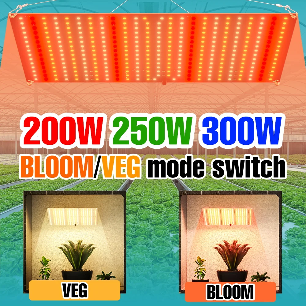 

300W LED Plant Grow Light Full Spectrum UV/IR Quantum Board Hydroponics Fill Lamp Greenhouse Tent Vegs Fruit Succulent Lighting