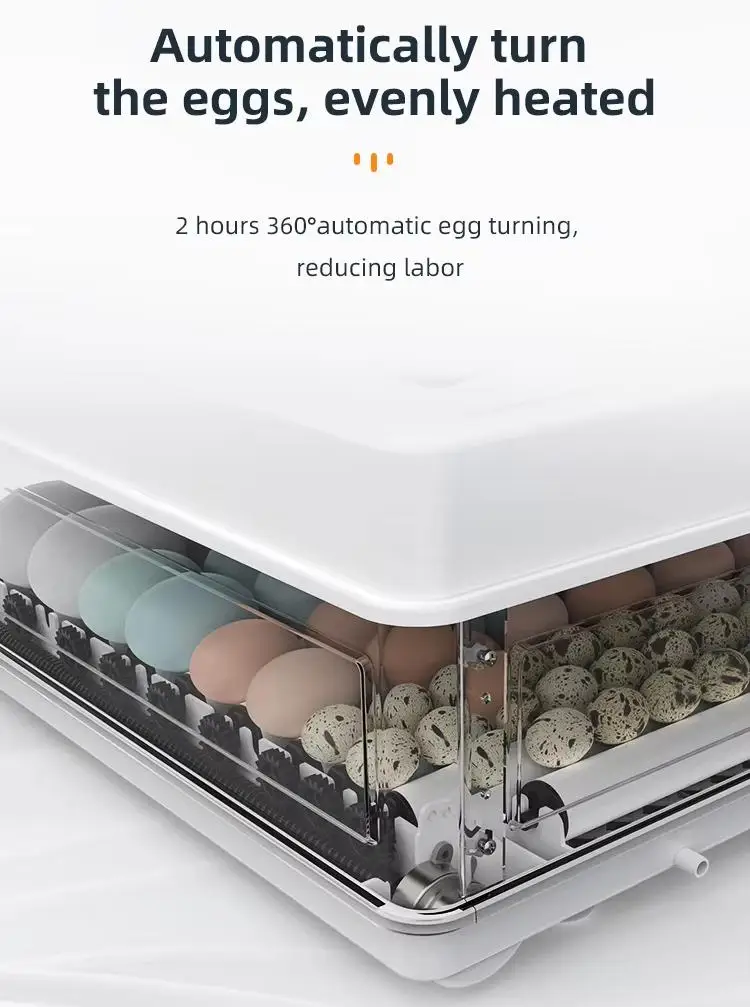 Fully Automatic 130 Capacity Egg Incubators Poultry Chicken Duck Quail Incubator Machine Small Egg Incubators view 4