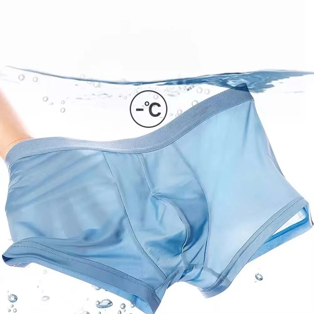 5Pcs Man Underwear Summer Thin Ice Silk Men's Briefs Breathable Soft Touch Men's Clothes 3D Cutting U Pouch Design Boxer Men