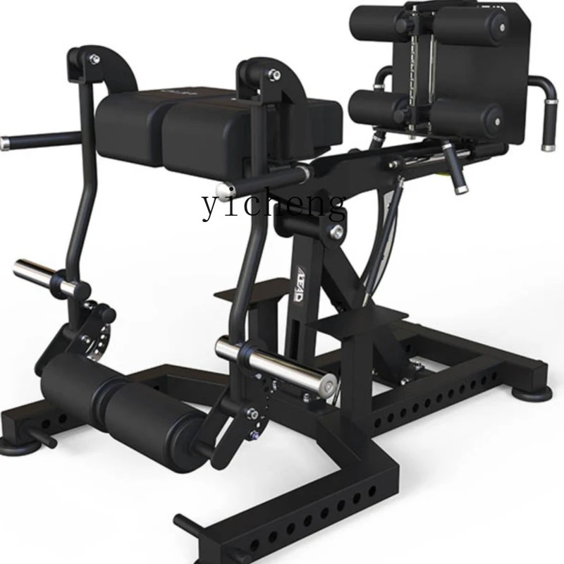 ZC Hip and Leg Comprehensive Trainer Back Hyperextension Studio Professional Physical Strength