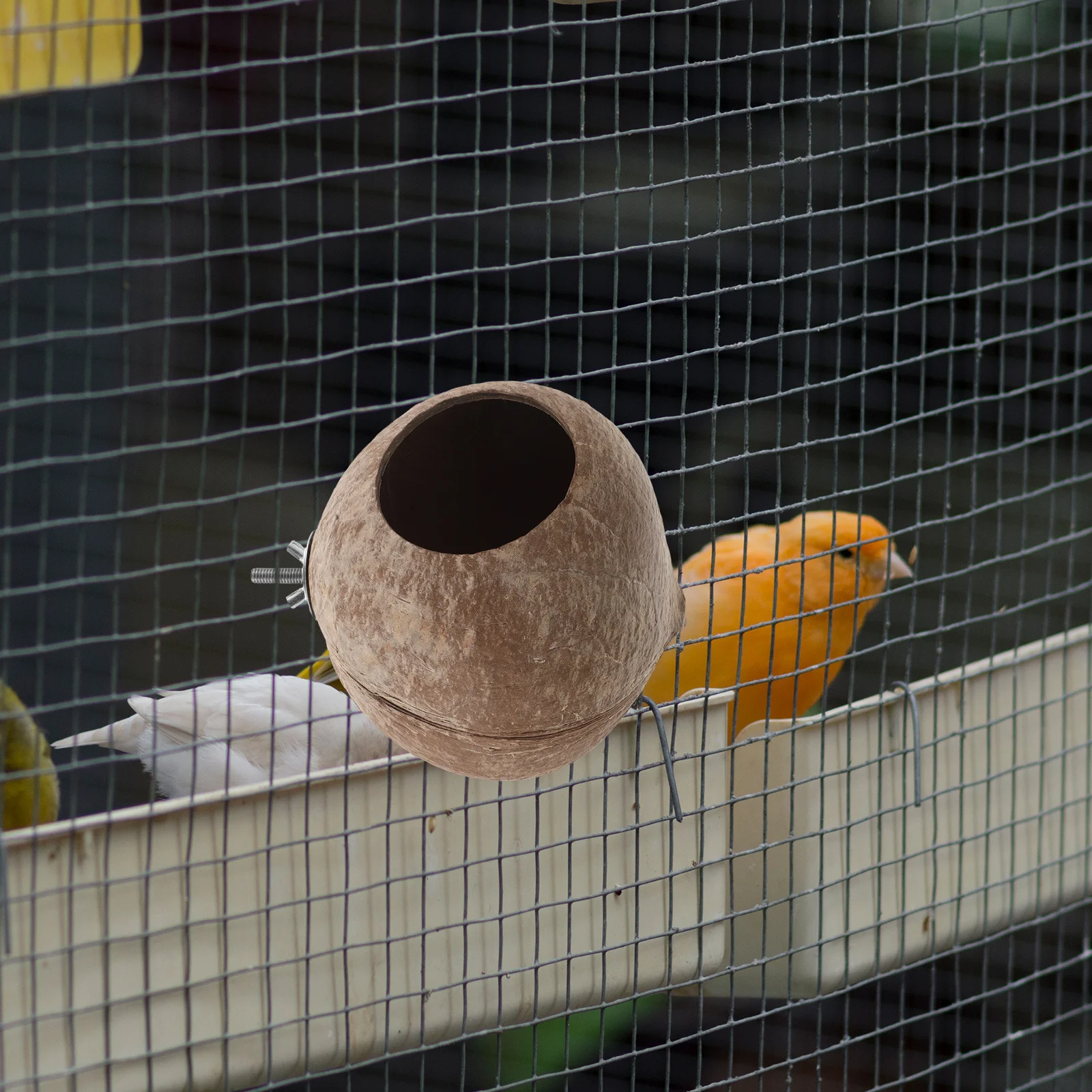 

Coconut Shell Bird Nest Natural Handmade Shelter For Canary Parrot Lark Small Birds Durable Hanging Living Place Outdoor Indoor