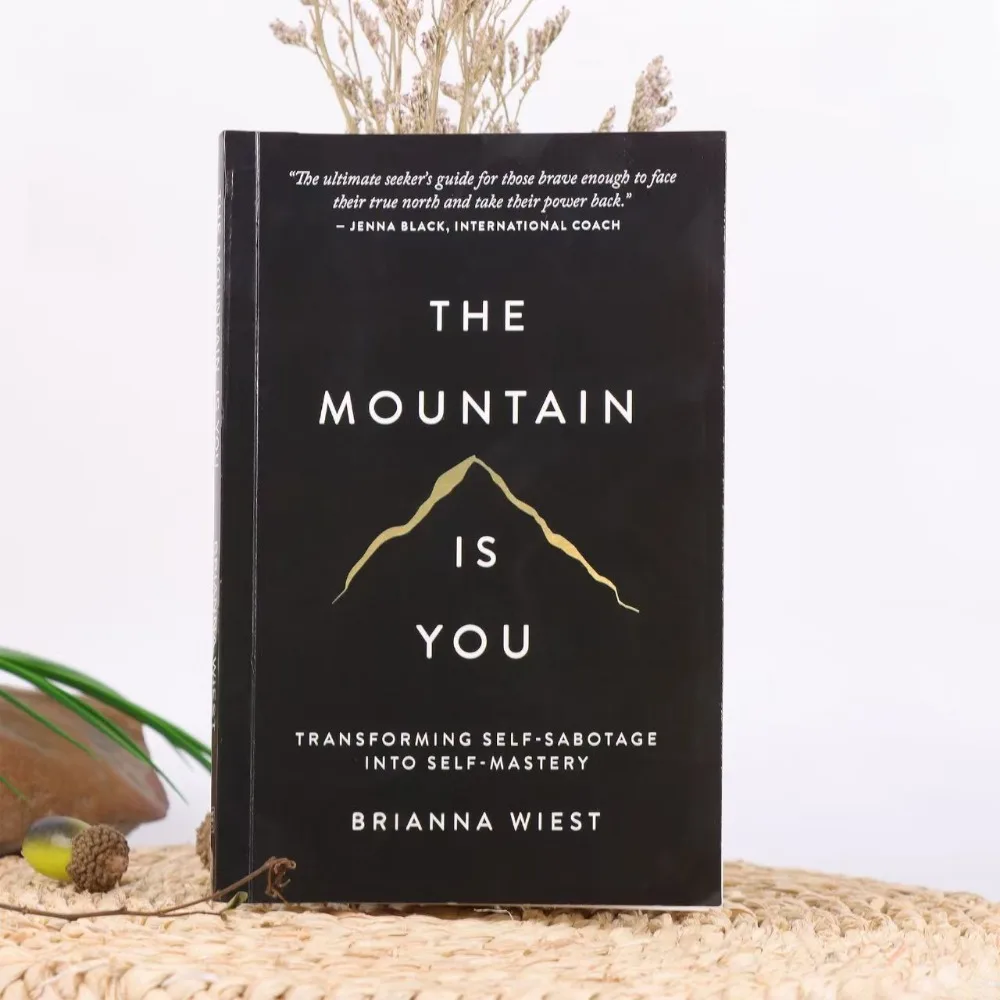 The Mountain Is You English Book Self Transformation Psychology Self Help Reading Book Inspirational Self Growth Novel
