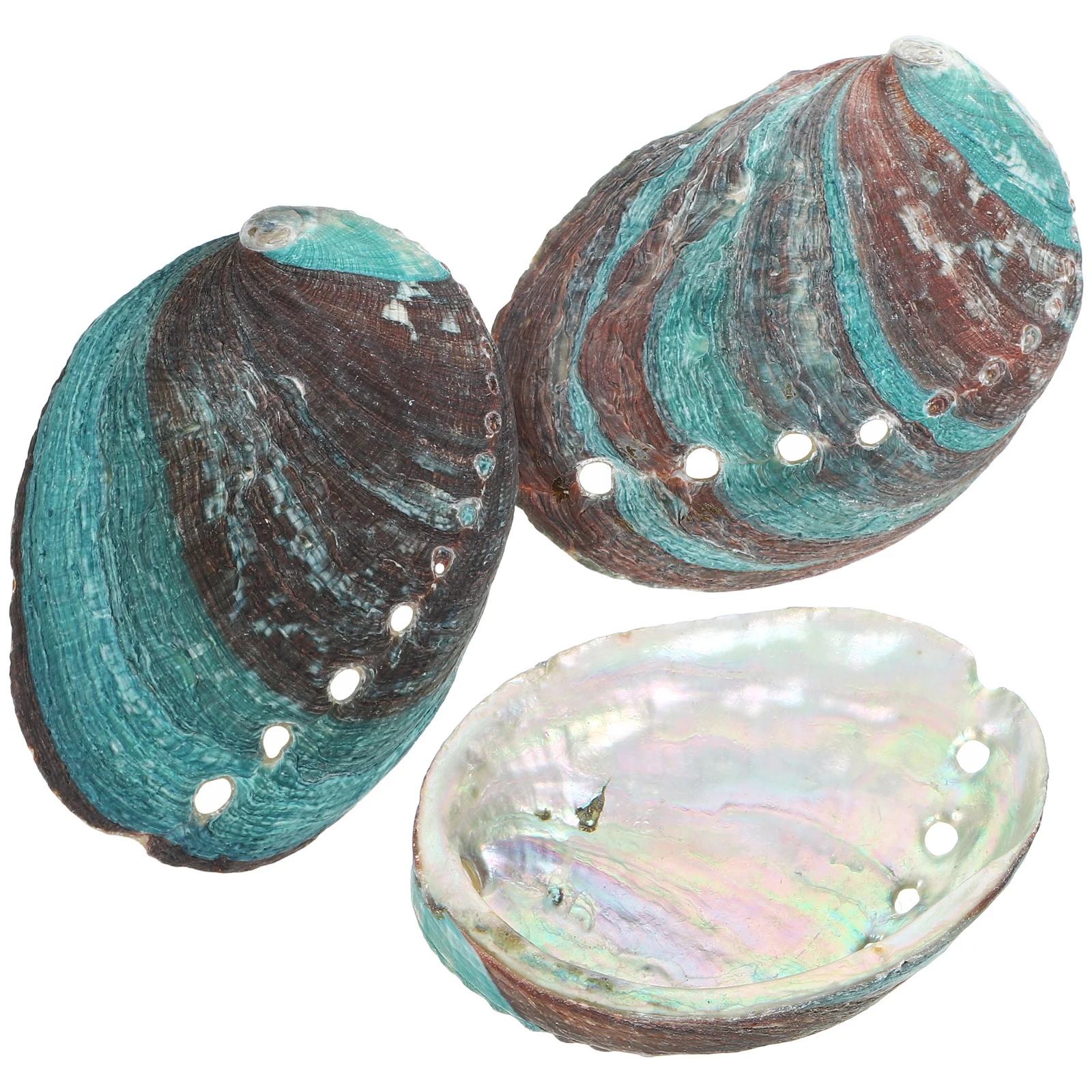 

3 Pcs Offering Holder Shell Shell Decorative Bowls 8-10cm Natural Seashell Smudge Kit Crystal Holder Home Altar Decor