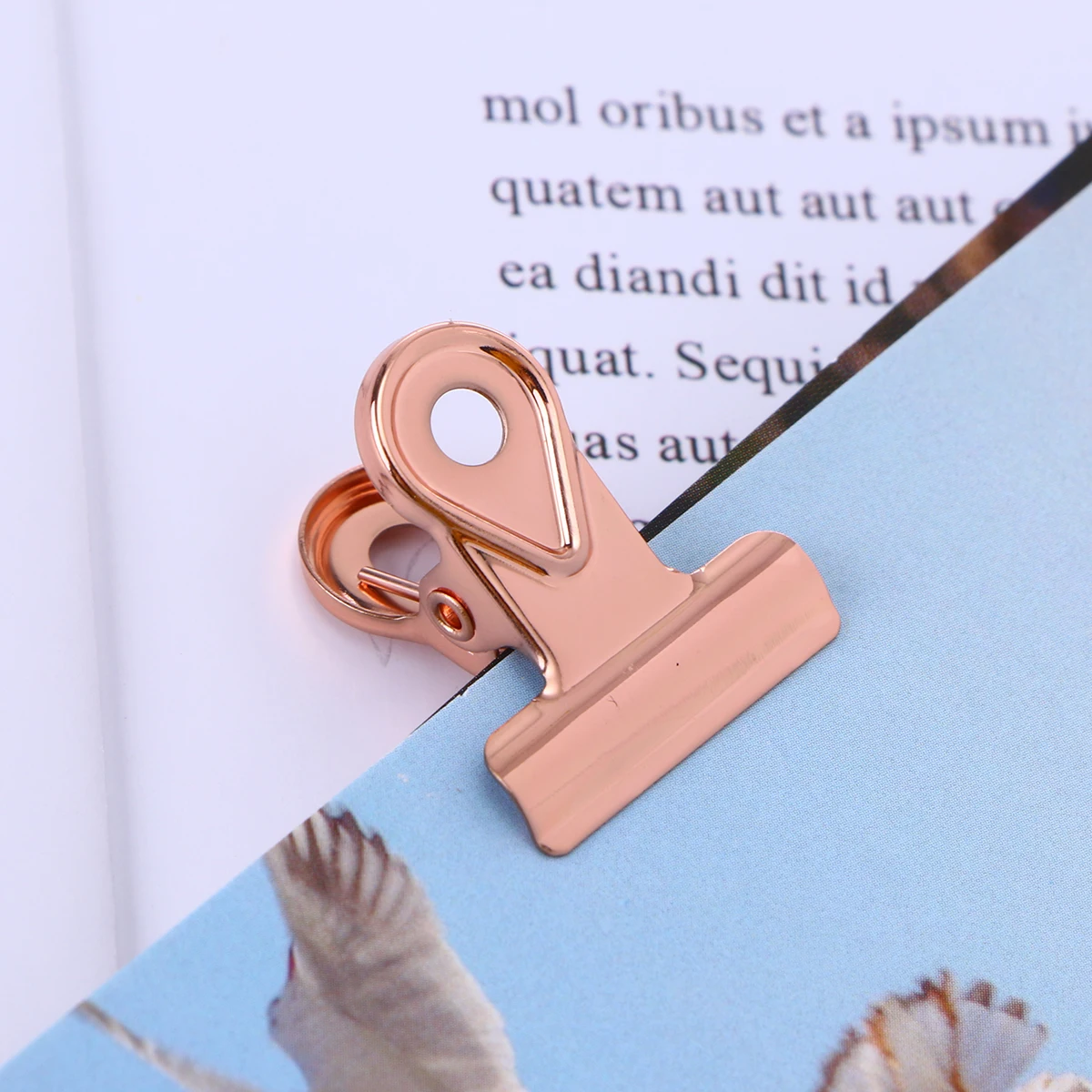 

20 PCS Financial Notes Clip Copper Binder Clips Elliot Folder Paper Clamp Hinge