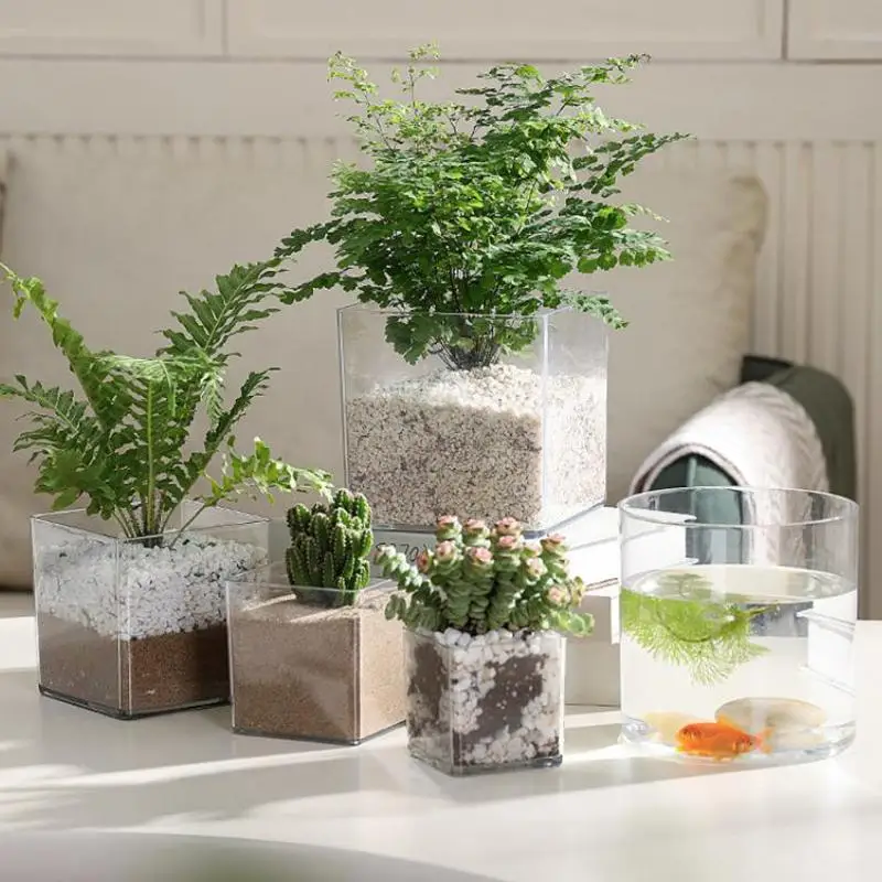 Acrylic Clear Nursery Planter Pot for Seedlings Indoor Outdoor Plant Container Lightweight Transparent Flower Pot for Home