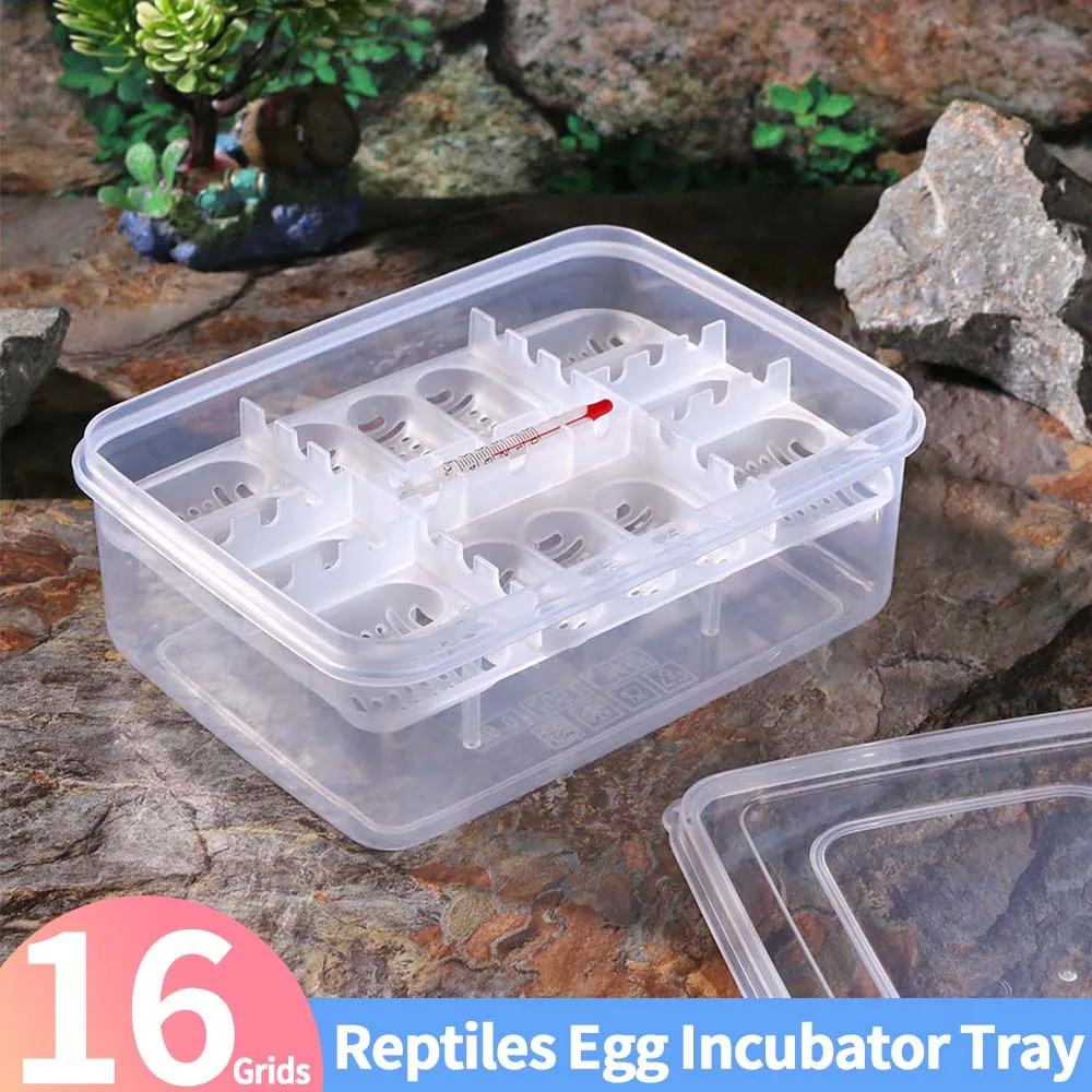 16 Grids DIY Hatch Box Snake Lizard Reptile Egg Tray Boxes Hatching Eggs Device Climbing Pet Tortoise Turtle Incubator Supplies