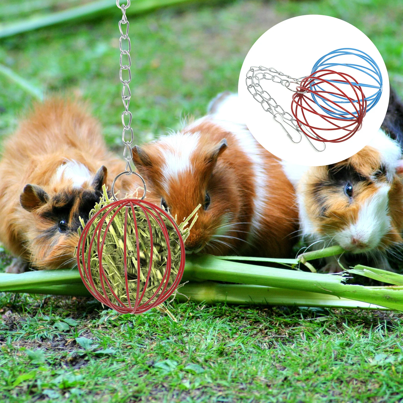 

2Pcs Rabbit Hanging Feeder Ball Lightweight Exquisite Design Cage Feed Dispenser Multi-Function Grass Holder Rabbit Feeder Ball