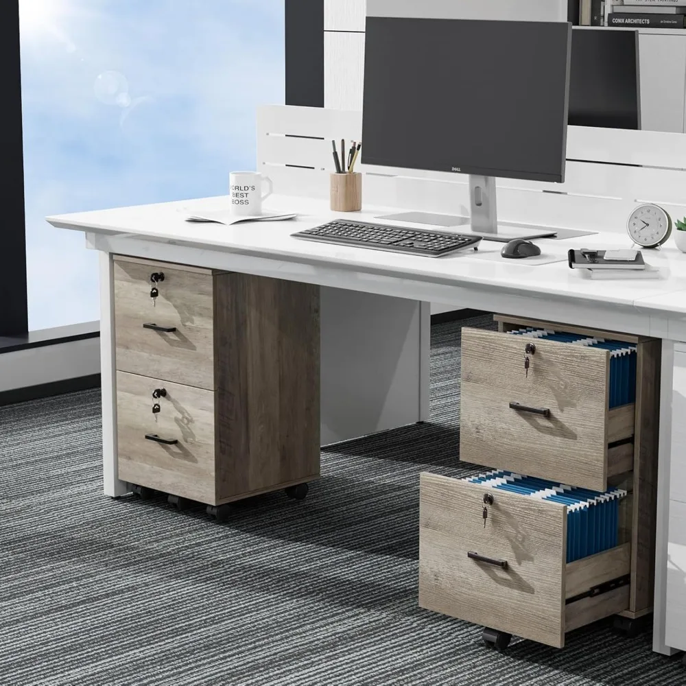 

2 Drawer File Cabinet with Lock, Wood Rustic Gray File Cabinet for Letter Size File Folders with Tabs, Filing Cabinets