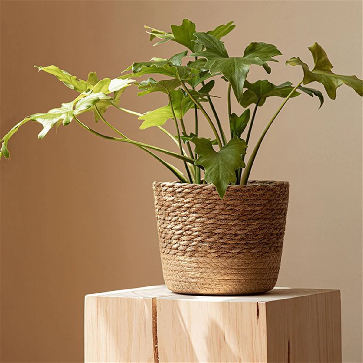 Cesta tejida, maceta tejida de paja para flores, cesta de mimbre, cesta de almacenamiento para maceta de mimbre, cesta de macetero tejida hecha a mano S