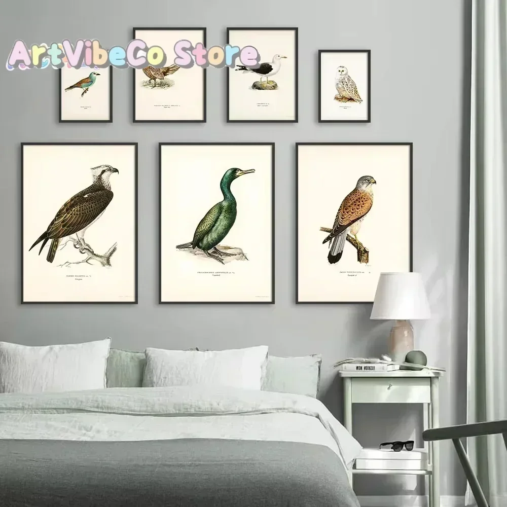 Retro Birds Poster and Print Vertebrate Canvas Painting Cormorant Bird Wall Picture Realism Art Mural Home Decor for Living R