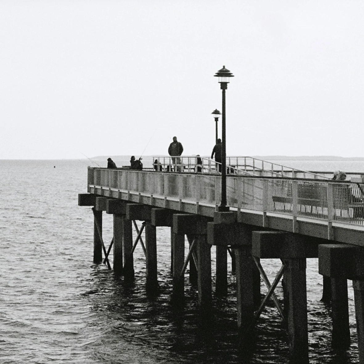 FOMAPAN 100/200/400 135 Hitam Putih 30.5 m Film Disc FOMAPAN Asli Ceko Kemasan Disc Reverse (Umur Simpan: 2026)