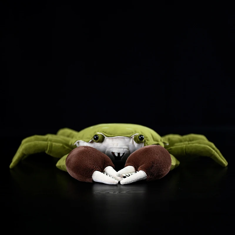 

Cute Chinese Mitten Crab Plush Toy Eriocheir sinensis Realistic Soft Simulation Stuffed Doll Lifelike Animals Model Kid Gift