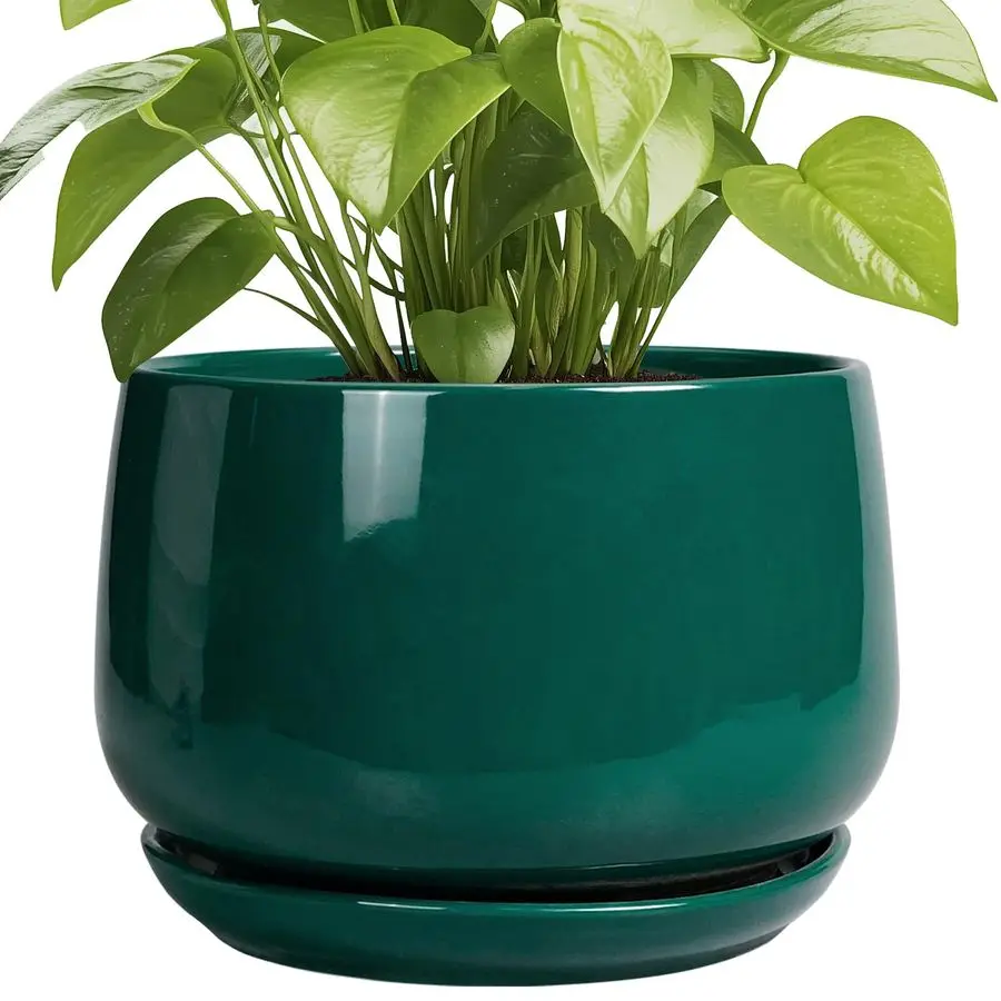 

Керамические горшки EPGardening для растений, 9 дюймов, круглые, с дренажом и поддоном, для комнатных растений, современный дизайн