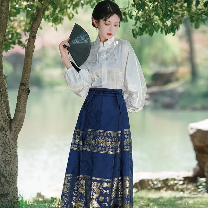 New Chinese Style Hanfu Song Dynasty Hanfu Dress Horse Face Pleated Skirt Vintgae Elegant Eastern Traditional Clothing Vestidos