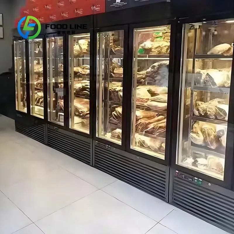 Customize Restaurant Dry Aged Multi-layer Stainless Steel Thawing Cabinet Maturing Fridge Beef Cooler Meat Cheese Kitchen