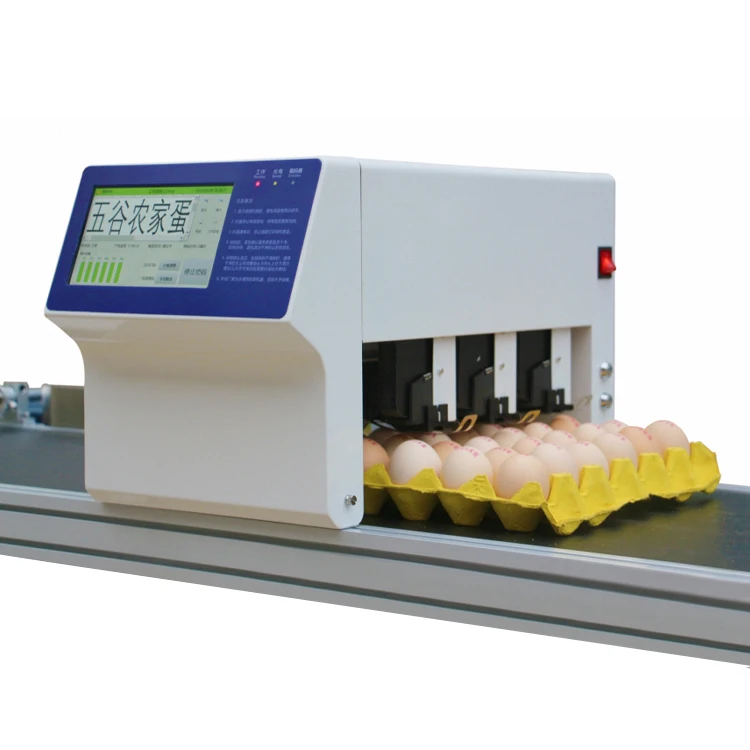 High-Speed 6 Print Head Egg Inkjet Coding Machine Conveyor New Condition Automatic Grade 600dpi For Flex Competitive Price