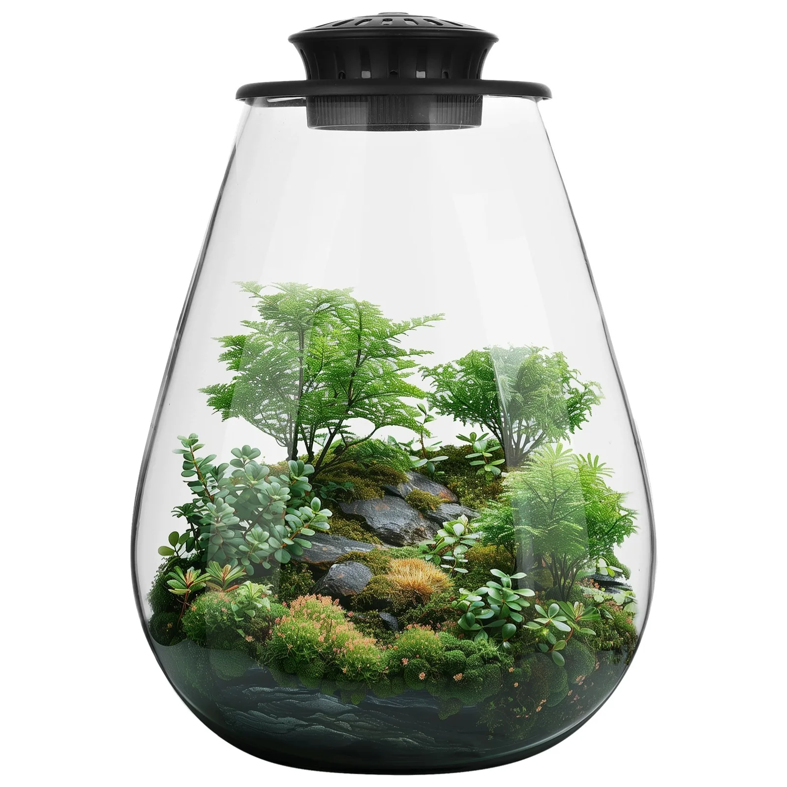 

Desktop Glass Plant Terrarium Grow Light Planter Plant Growth For Succulent Moss Miniature Gardening Landscape Betta Fish Tank