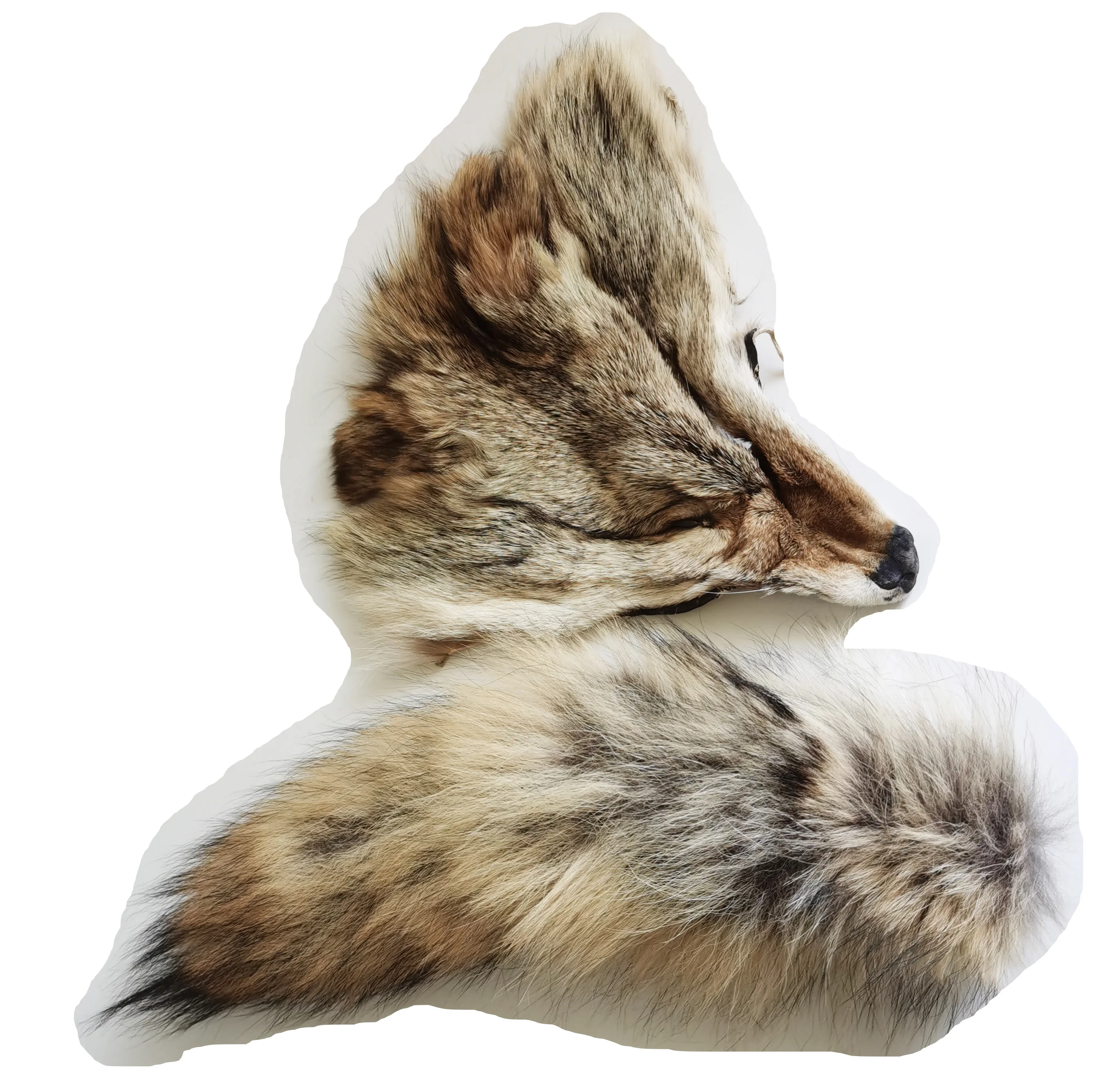 Coyote head coyote tail fur decorative scalp wall painting leather decorative painting handmade coyote head Halloween leather