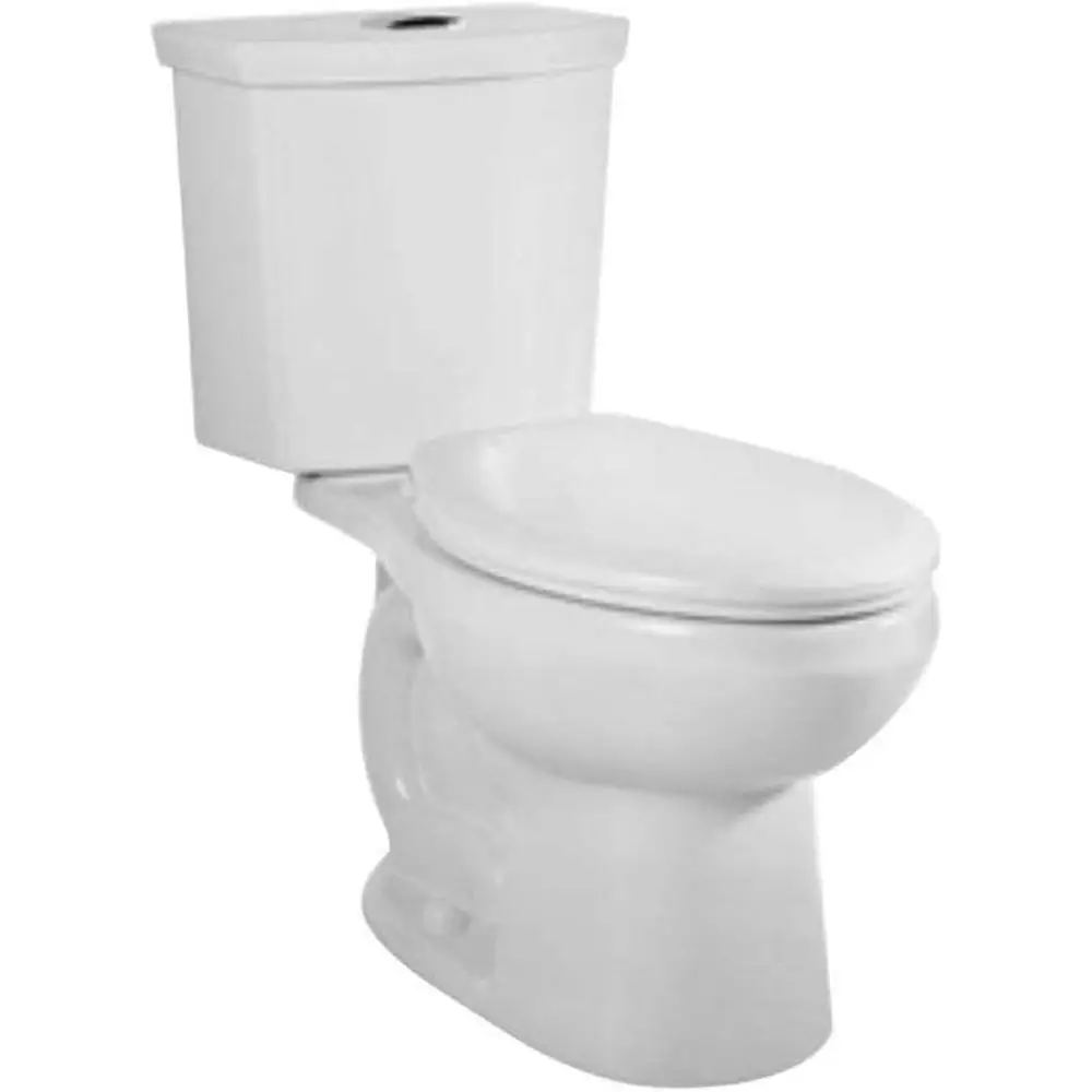 

Dual Flush Elongated Toilet, White, 1.0/1.6 GPF