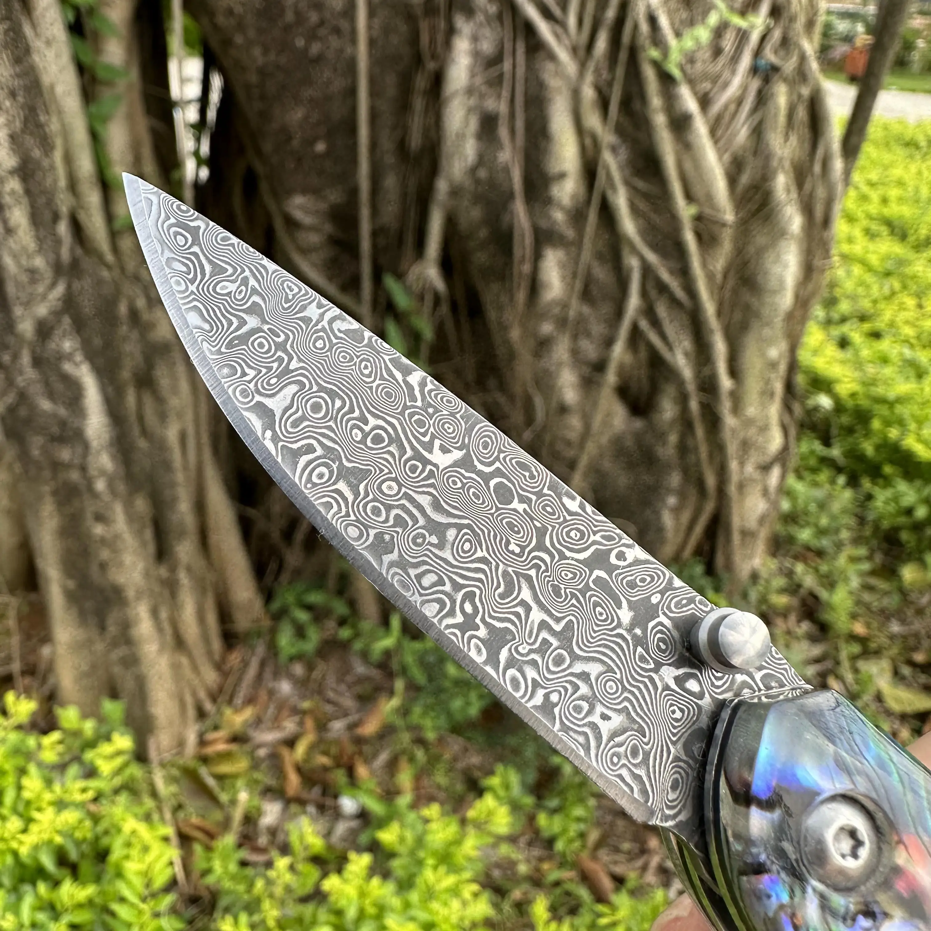 Topwell Handmade Forged Damascus Steel Knife VG10 Blade Abalone Shell Handle With Gift Box Camping outdoor Excellent Men Gift