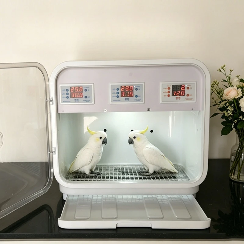 Pet intelligent automatic parrot air heating heating incubator, young birds and fledglings 0 days, small pets for winter