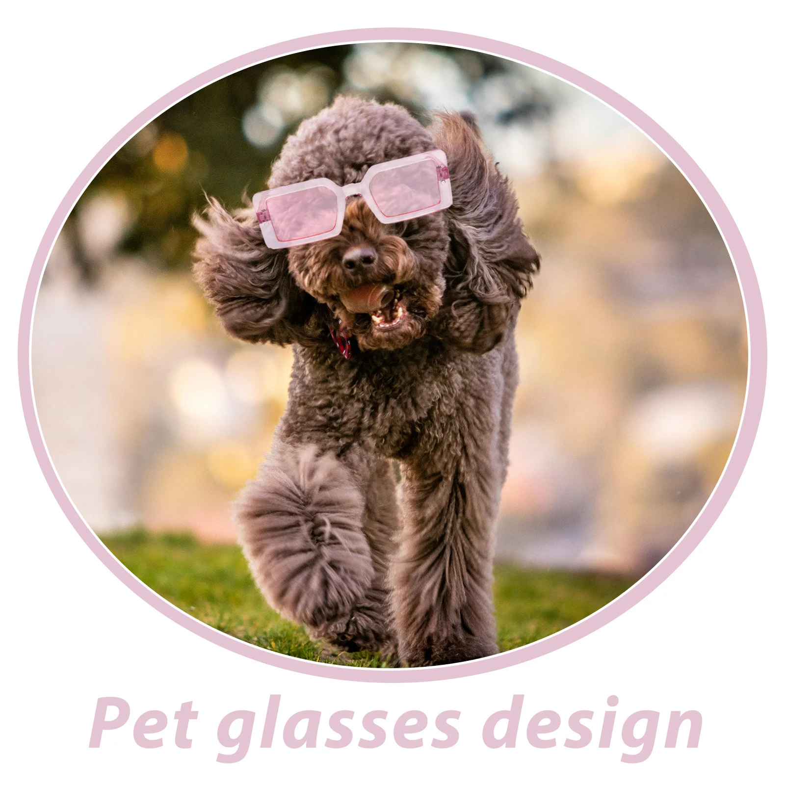 

1Pcs Dog Transparent Glasses Flexible Lightweight Uv Protective Eyewear for Small Dogs Party Photo Props Dog Glasses