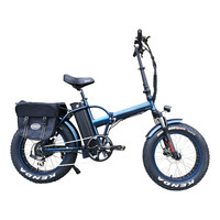 2024 48V 35ah Electric Bike Two Wheel Electric Bicycle 2 Seats Device Tracker Scooter Electric Bicycles