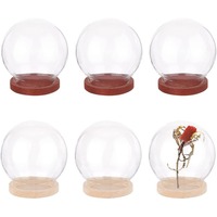 6 Pcs Mini Glass Dome 1.57\