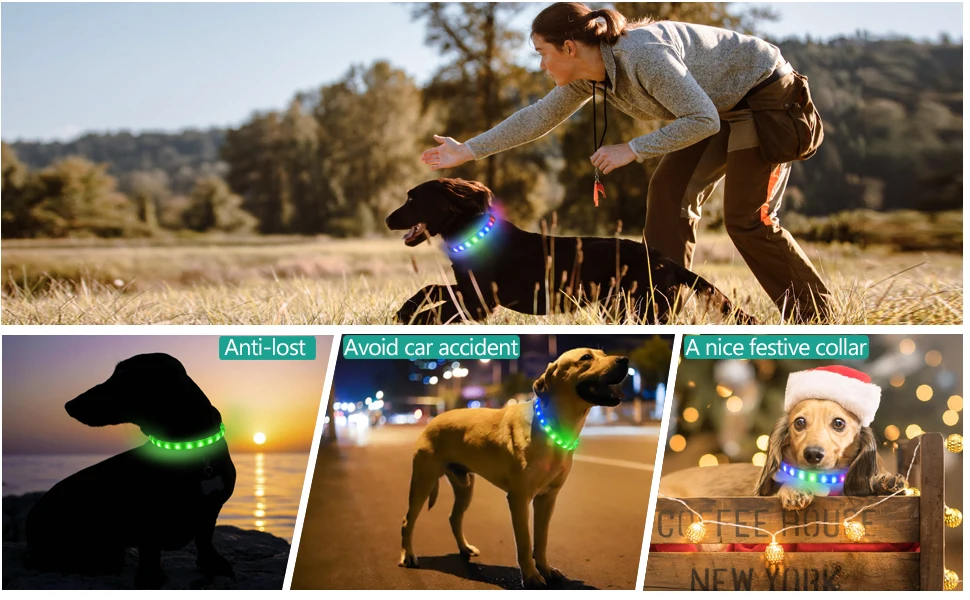 New Led Luminous Dog Collar PVC Waterproof , For Large Medium Small Dogs Collar Usb Light Night Safety Pet Glowing Accessories