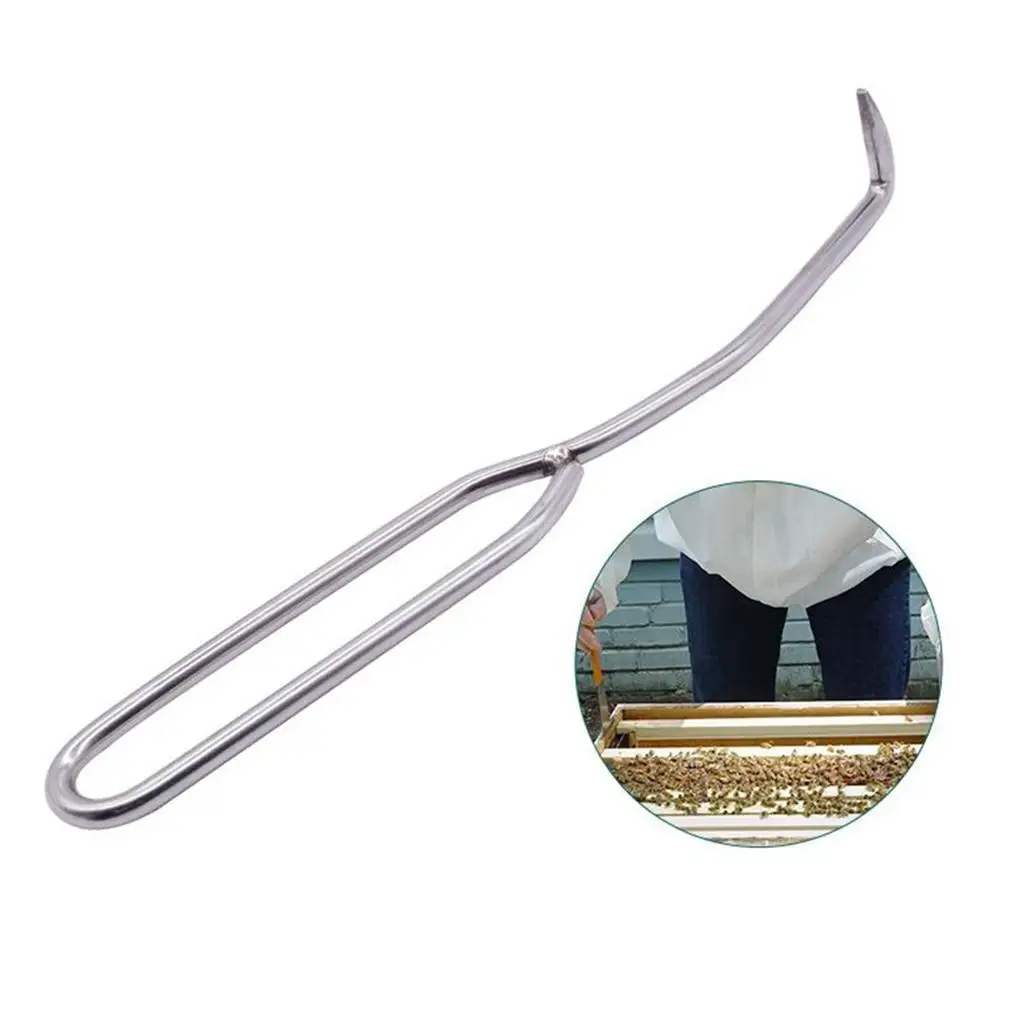

Durable Stainless Beekeeping Tool Bee Lifter and Scraper Equipment for