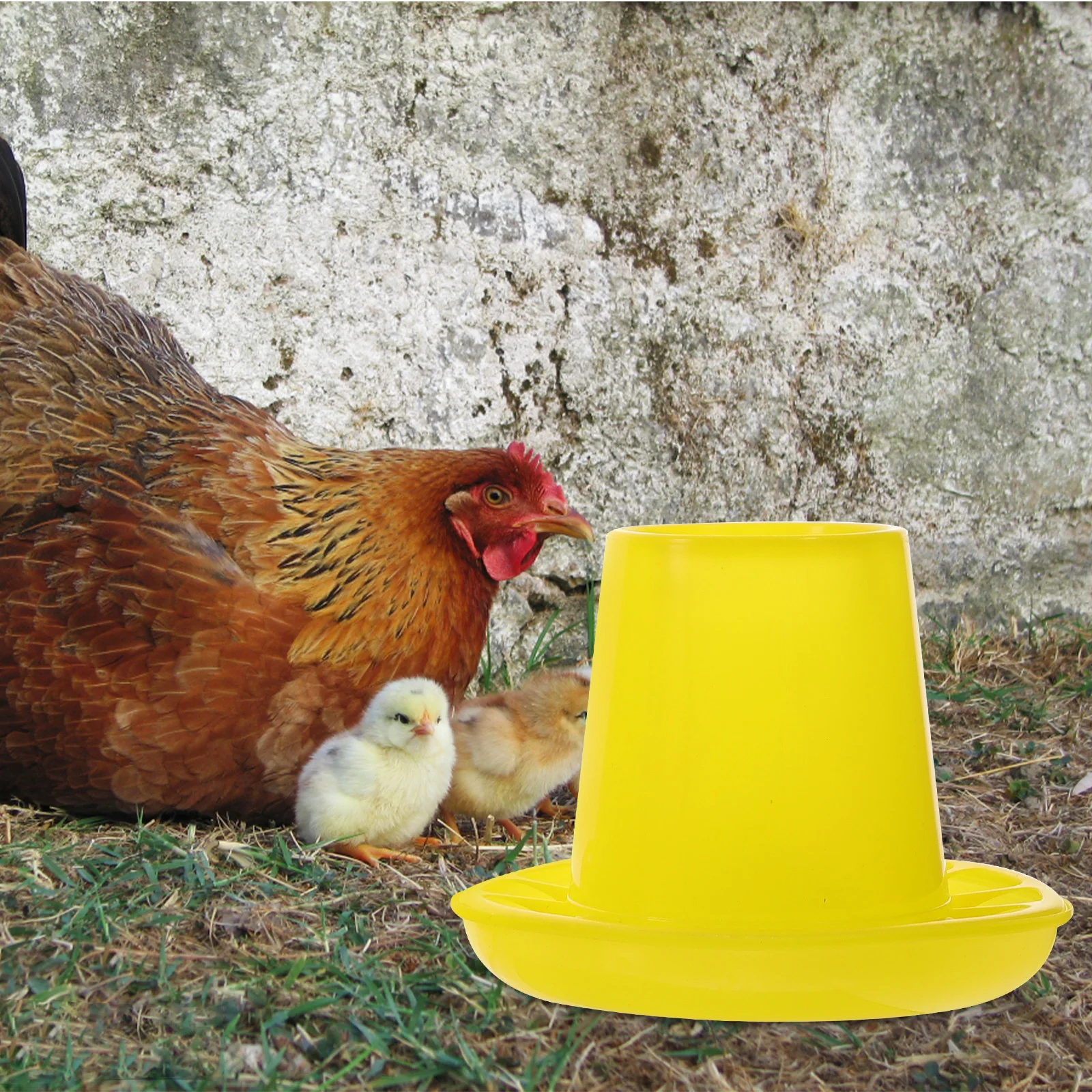 

2Pcs Feed Bucket Large Pet Feeder Chicken Food Pigeon Trough Durable Multi Compartment Easy Clean Outdoor Sun Protection Poultry
