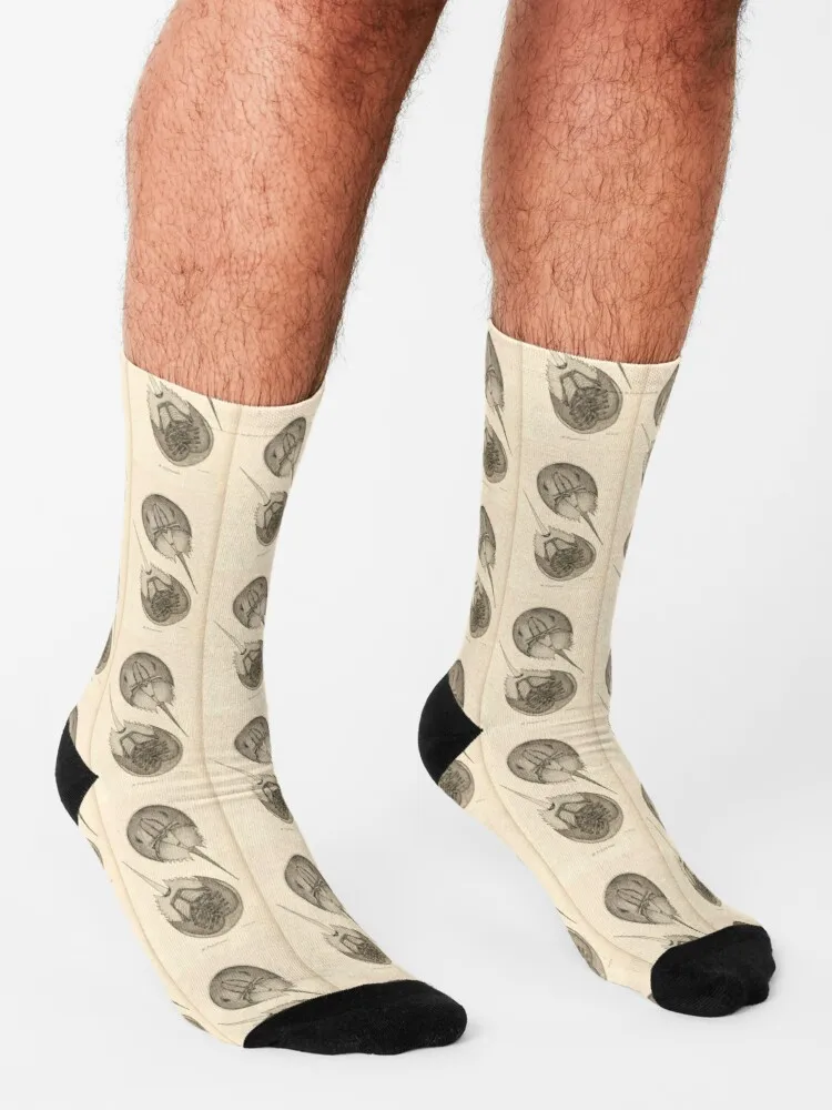 Calcetines de cangrejo de herradura para hombre, moda