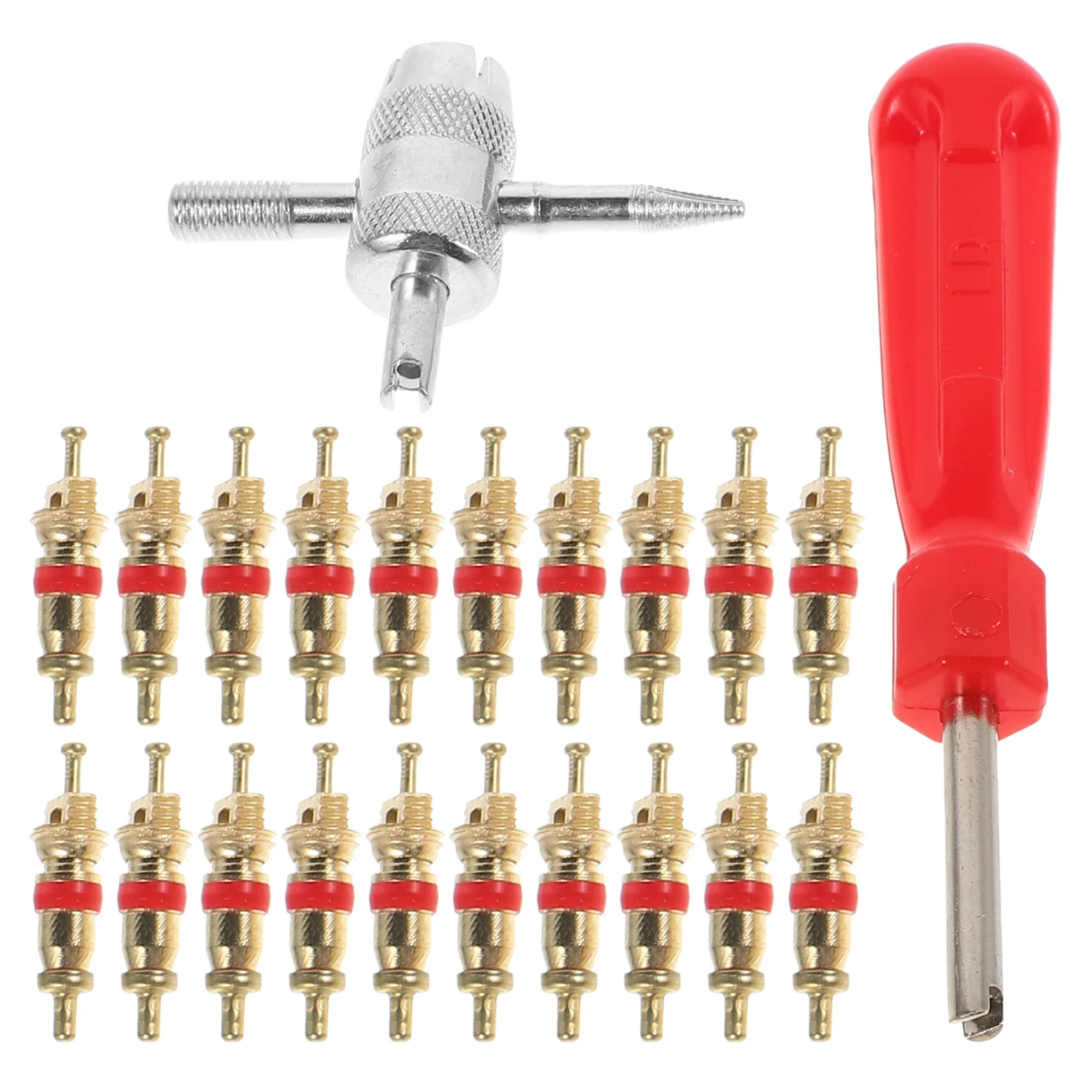

32Pcs Valve Stem Removal Tool Set Nickel Plated Compatible with Cars Bike Bicycle Trucks Motorcycles Tire Repair Valve